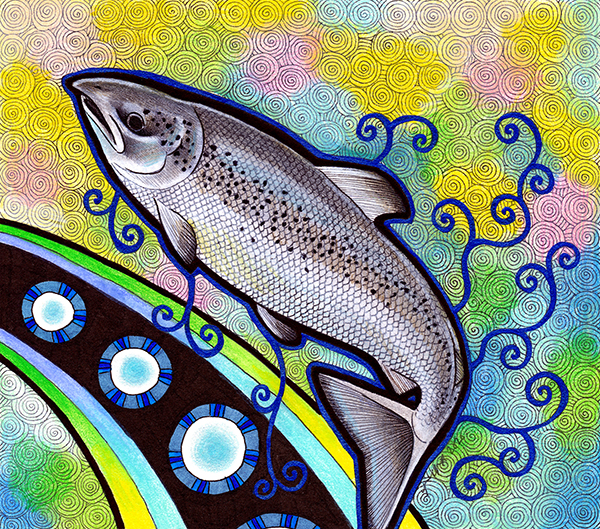 Atlantic Salmon illustrated by Ravenari