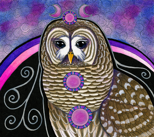 illustration of the Barred Owl by Ravenari