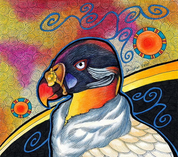 King Vulture illustrated by Ravenari