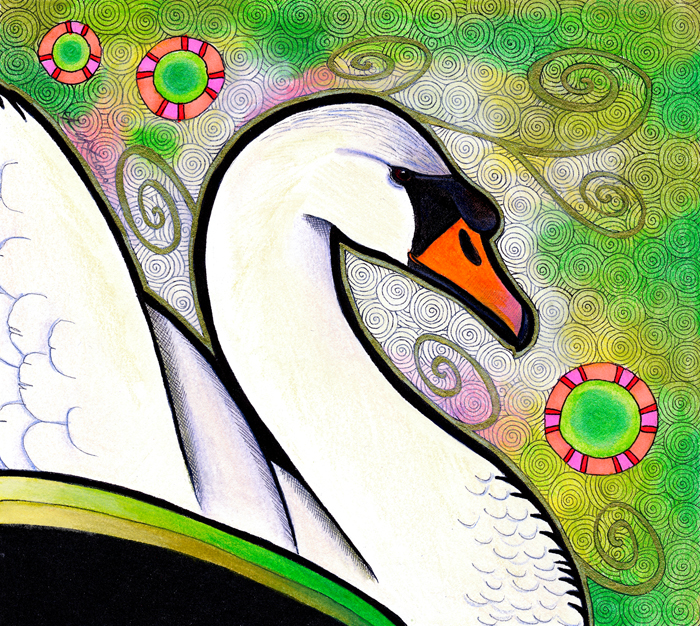 Mute Swan illustrated by Ravenari