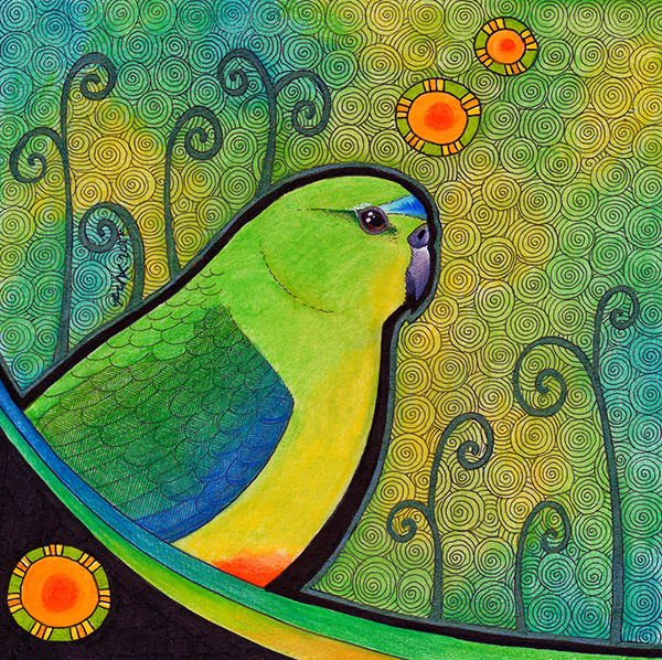 Orange Bellied Parrot illustrated by Ravenari