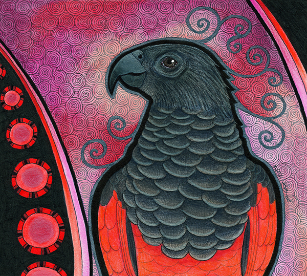 Pesquet's Parrot illustrated by Ravenari