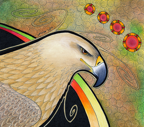 Tawny Eagle illustrated by Ravenari