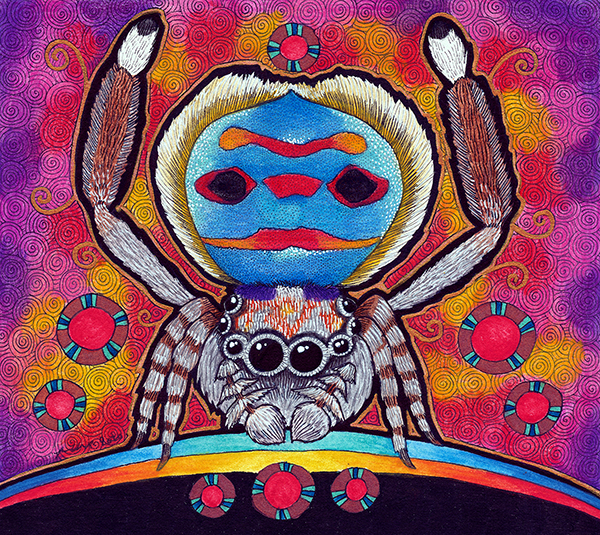 Illustration of the Coastal Opal Peacock Spider by Ravenari