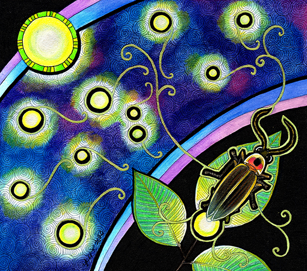 illustration of common eastern firefly and other glowing lights by Ravenari