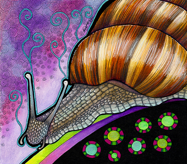 Illustration of giant african land snail by Ravenari